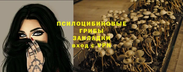 герыч Алзамай