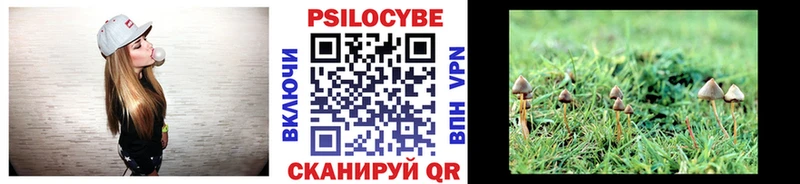 Псилоцибиновые грибы Psilocybine cubensis  ссылка на мегу ТОР  Игра 